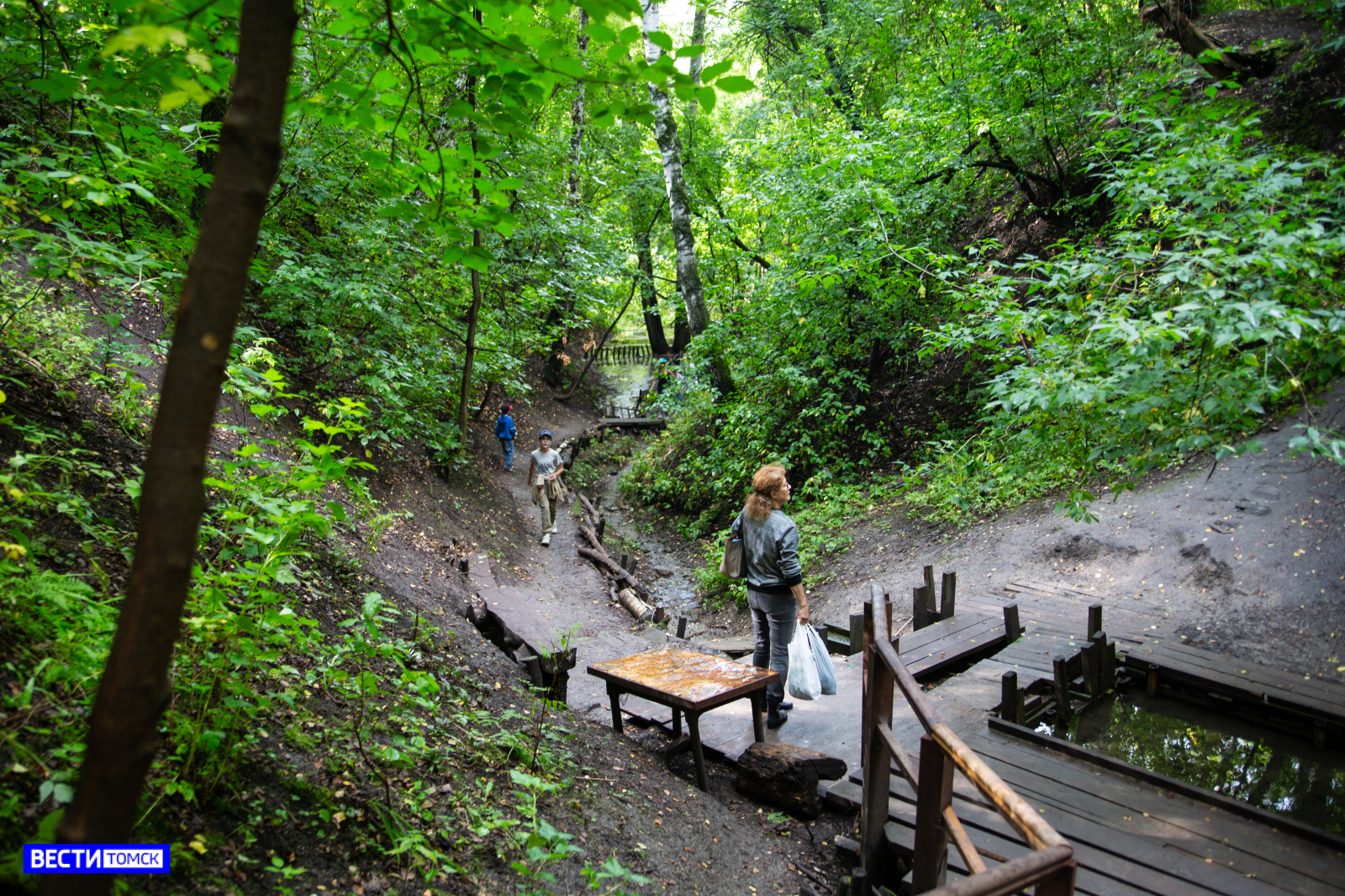 михайловская роща томск. лесопарк михайловская роща, томск. михайловская роща томск. михайловская роща томск. михайловский парк томск.