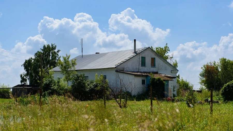 Село Новосельское. Лето, 2024.