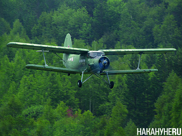 Фото: Накануне.RU