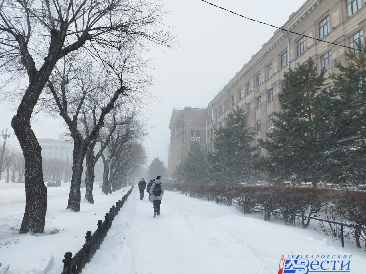 Хабаровск осадки. Осадки Хабаровск. Снежный Хабаровск фото. Хабаровск в снегу фото. Гисметео Хабаровск.