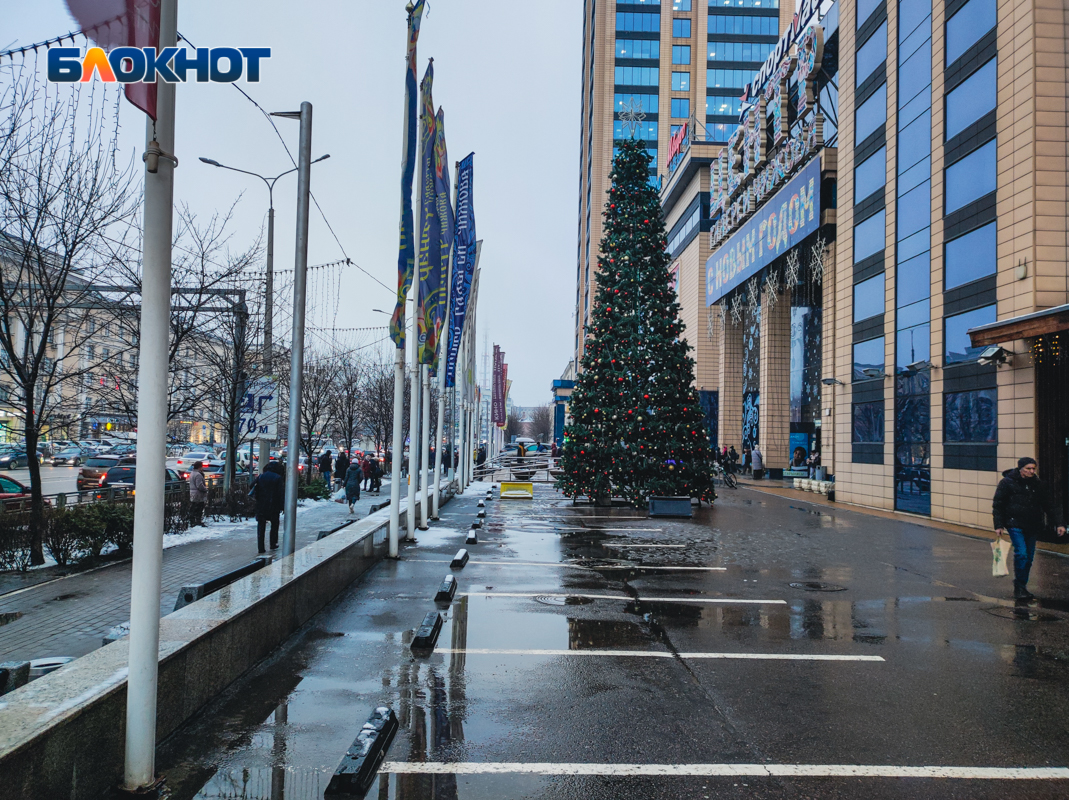 воронеж дворы ночью. губернаторская елка 2023 воронеж дворец. воронеж 22 декабря. воронеж 22 декабря. фотосессия на улице зимой воронеж.