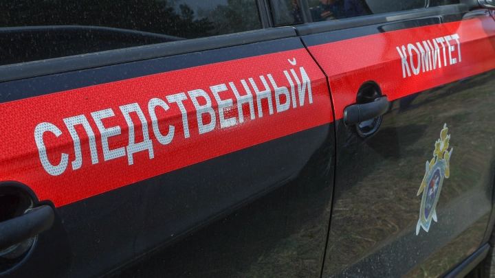 Резиновые квартиры и фиктивные браки: всё больше владимирцев попадаются на незаконной легализации миграции