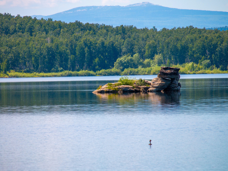 Челябинца будут судить за вылов краснокнижной форели из реки нацпарка «Таганай»