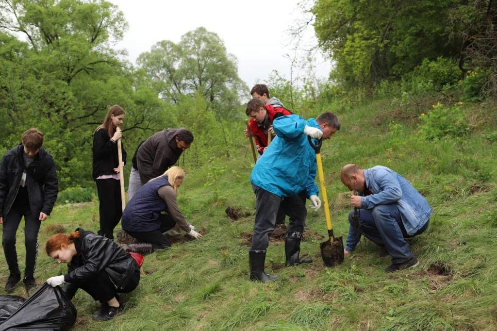 В Курске в урочище «Казачий лог — 2» высадили 2000 саженцев дуба
