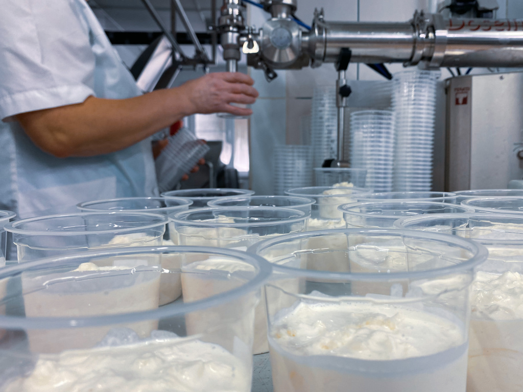 сыр келарь. сыр сыроварни йонаса. сыроварня шаховская. сыроварня майнкрафт. логовская сыроварня.