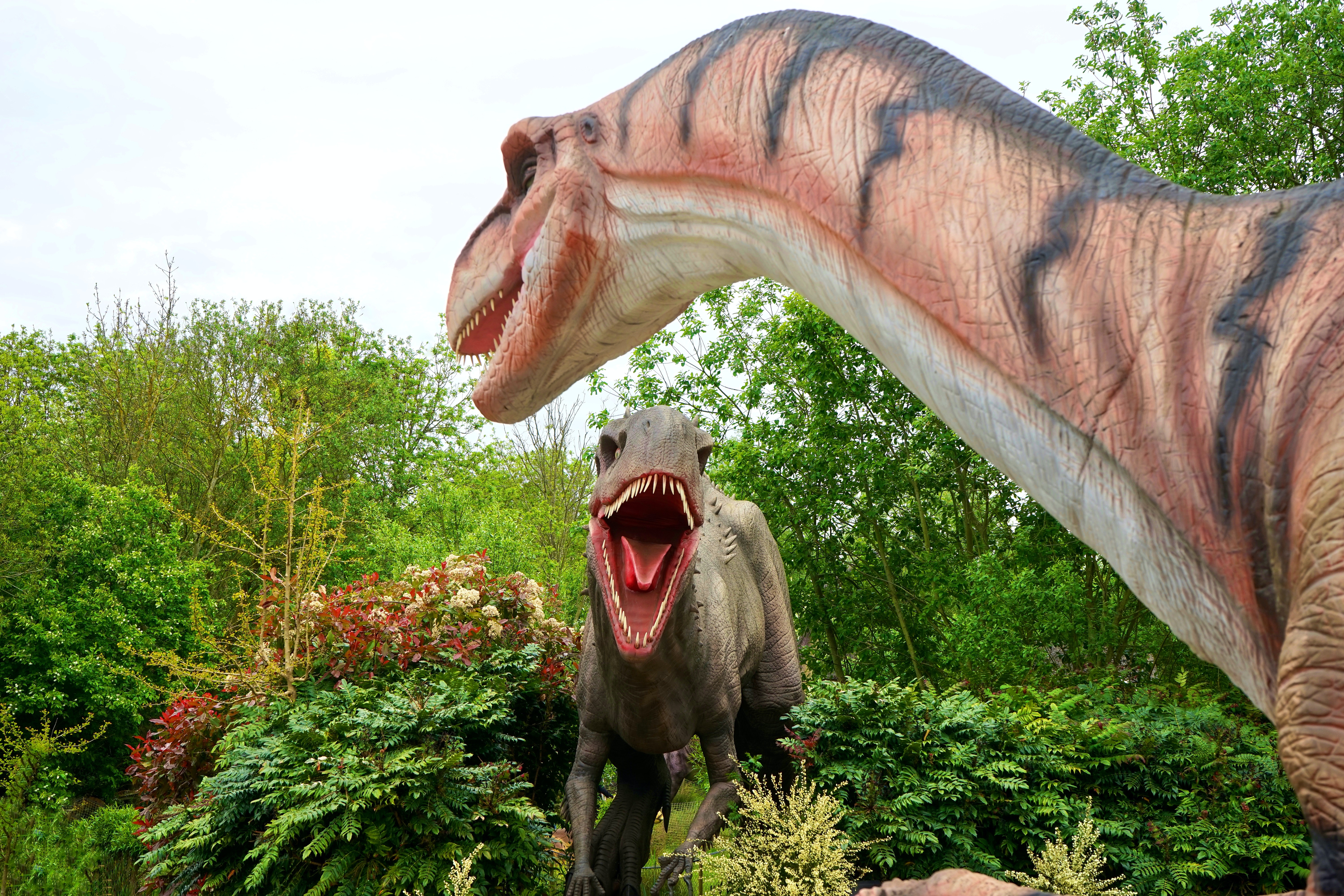 Крик динозавра. Парк динозавров в Дубае. Динозавры доисторический парк. Парк динозавров Лабытнанги. Парк динозавров в Америке.