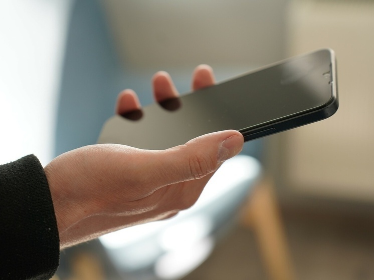 В Тульской области мошенники развели зумершу в интернете на 203 тысячи рублей