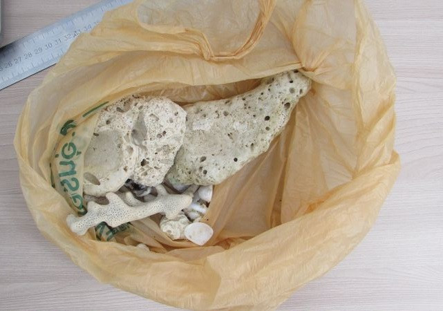 Туристка из Кузбасса пыталась привести из Пхукета неоформленные кораллы