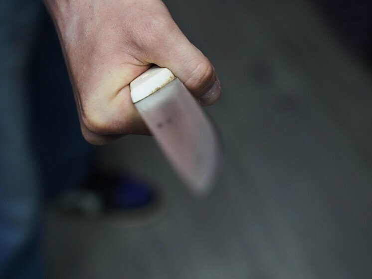 В Тульской области суд отложил слушание дела об убийстве на свадьбе