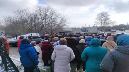 Воронежцы рассорились из-за переноса автобусной остановки у ЖК «Спутник»