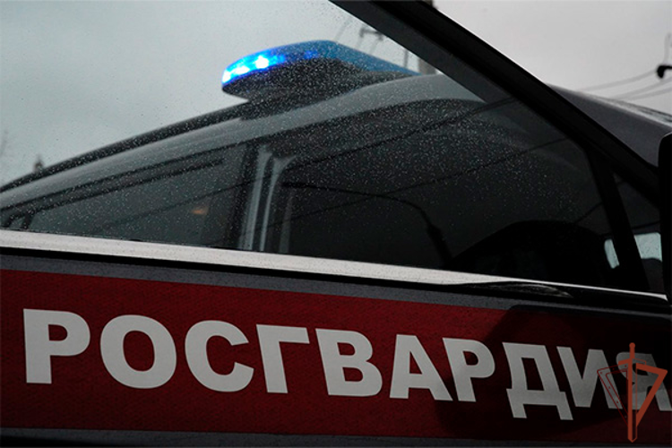 Росгвардейцы задержали нетрезвого мужчину, угрожавшего прохожим ножом на востоке Москвы (видео)