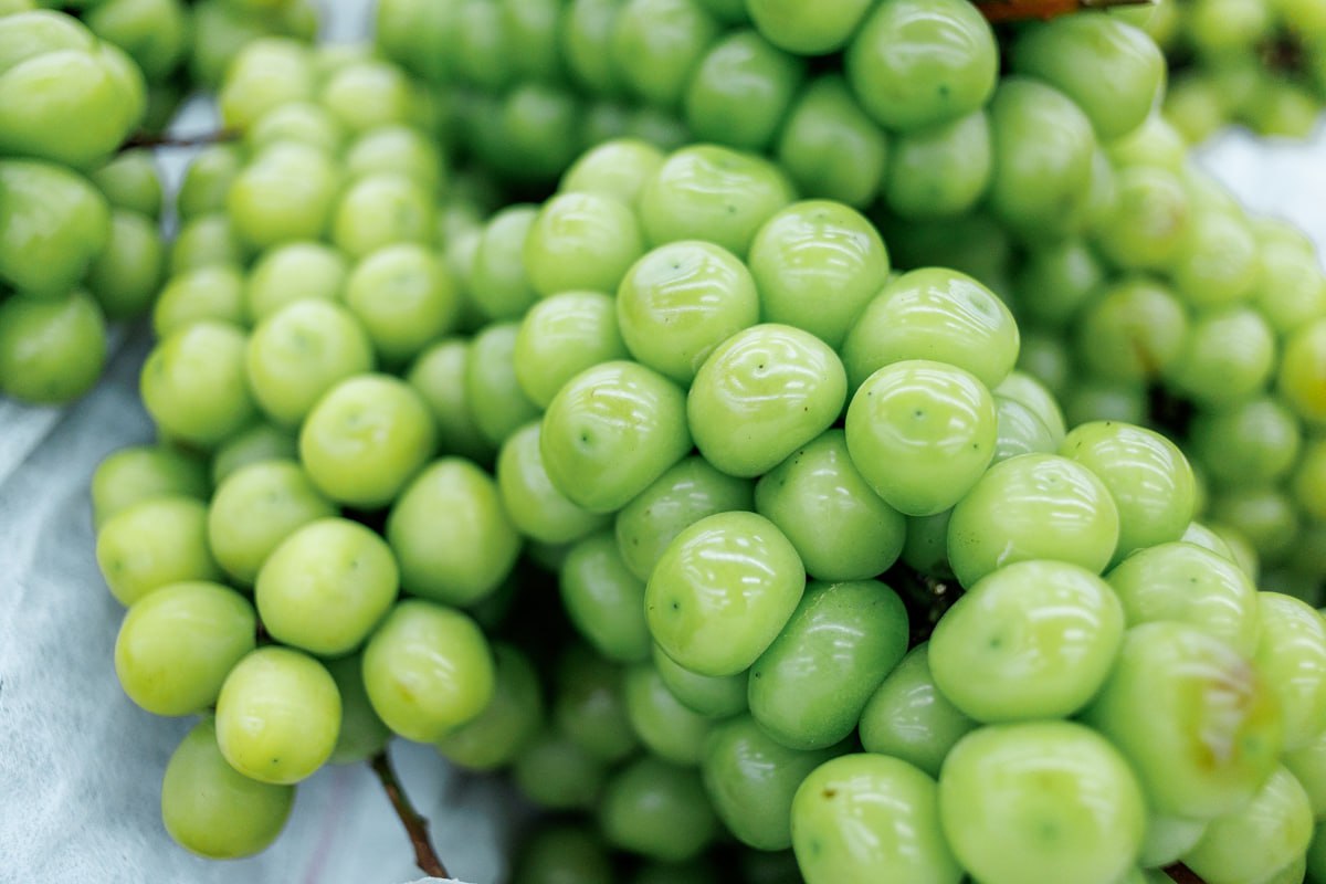 Тонну «винограда» размером с мандарины не пропустили в Челябинскую область*1