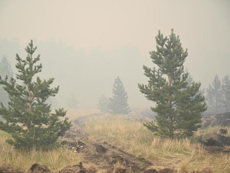 В Челябинской области объявили начало пожароопасного сезона