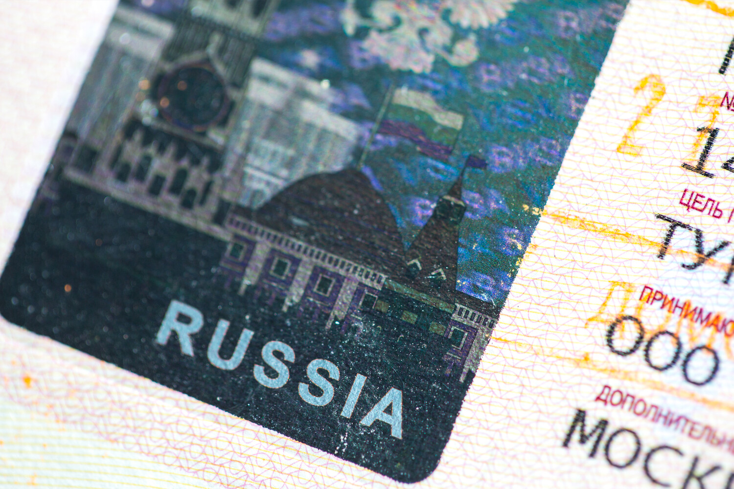 Visa kdmid. Единая электронная виза. Электронная виза в Россию. Забыли визу для путешествия.