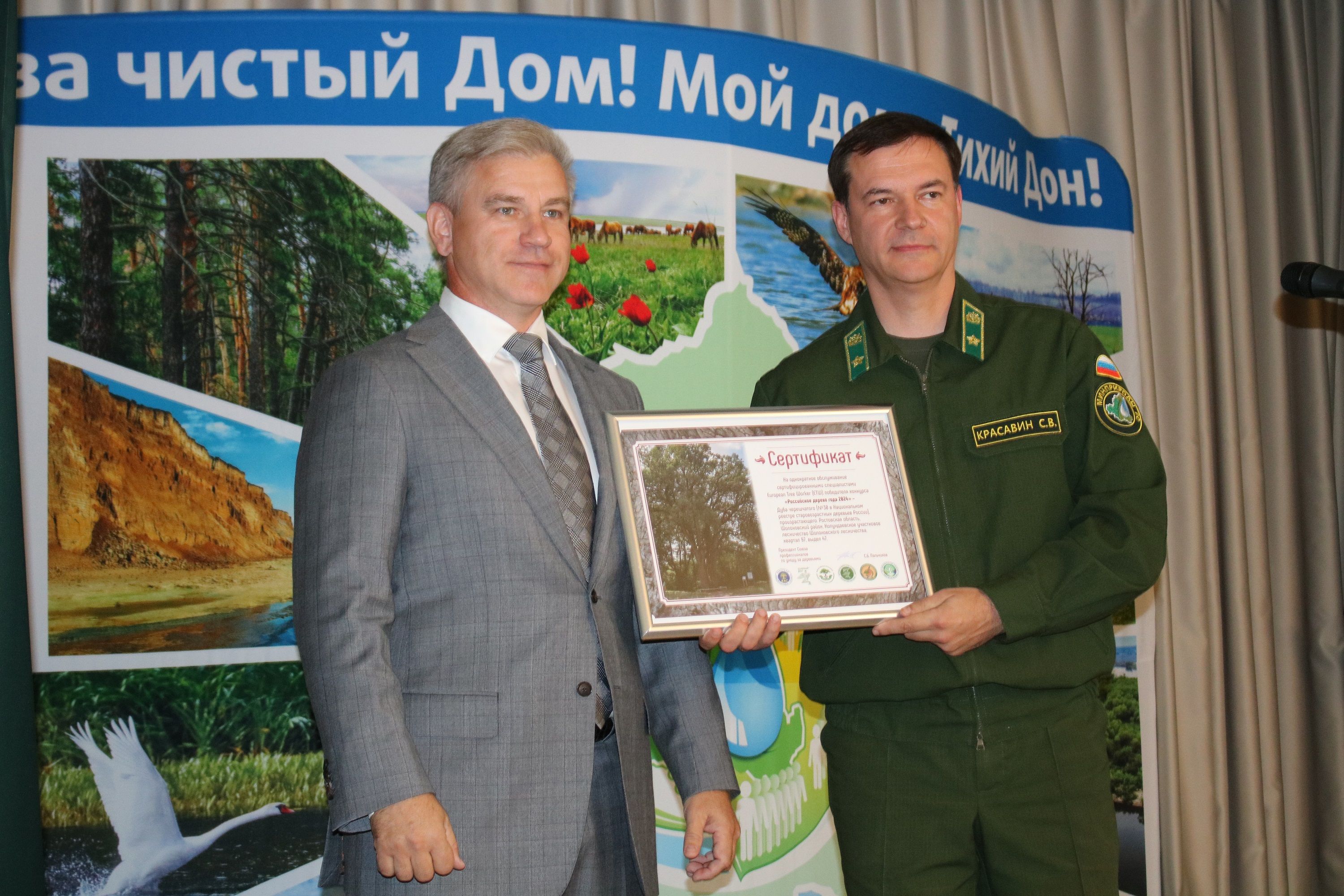 Вешенский дуб-великан стал победителем в национальном конкурсе «Российское дерево года -2024»