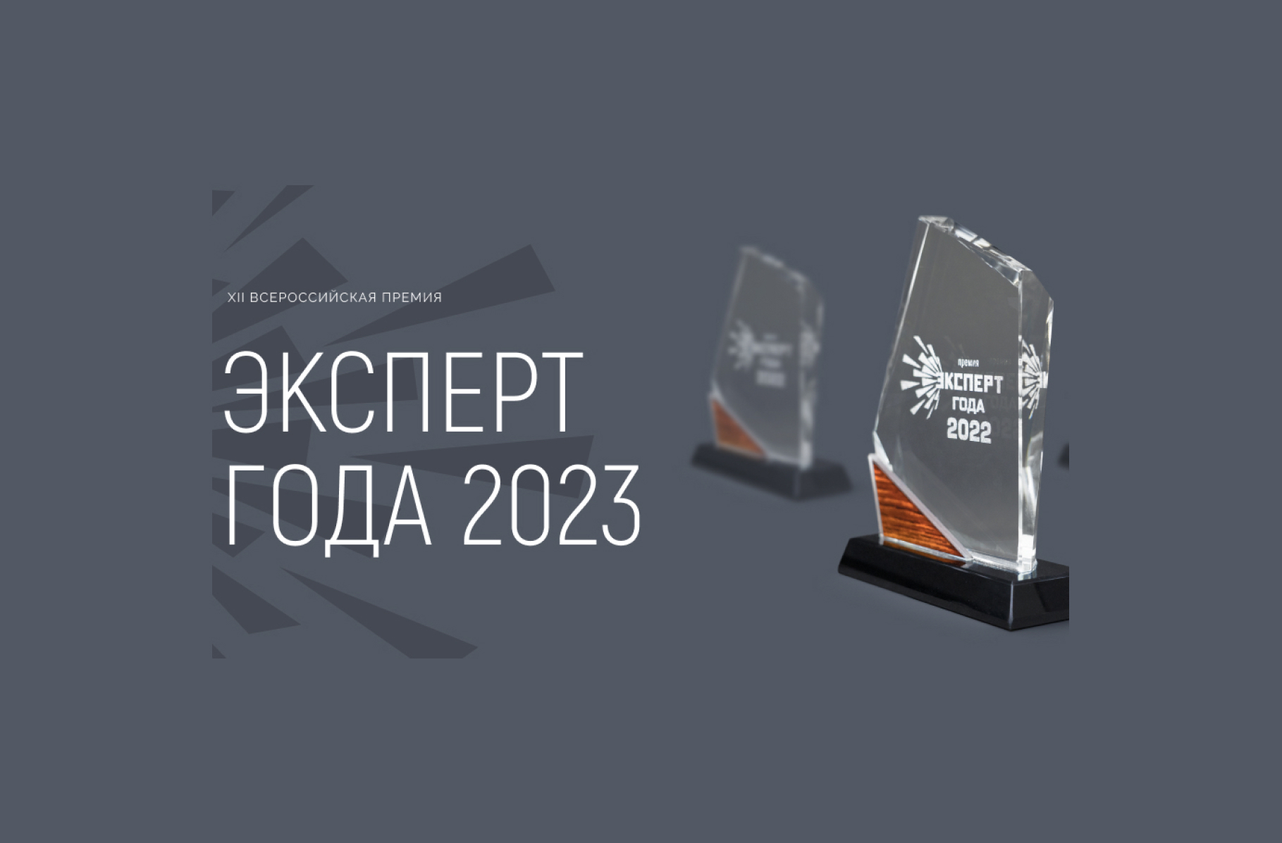 премия года 2021 steam фото 81