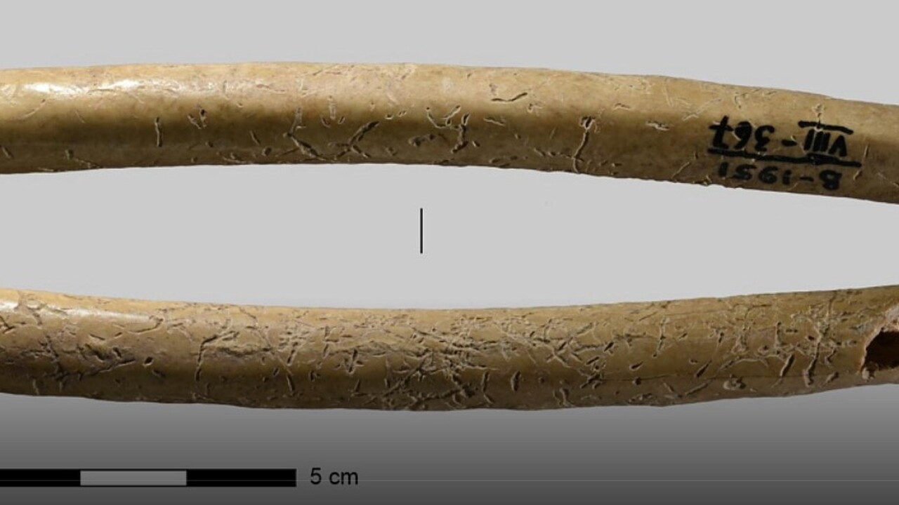 Институт археологии и этнографии Сибирского отд...