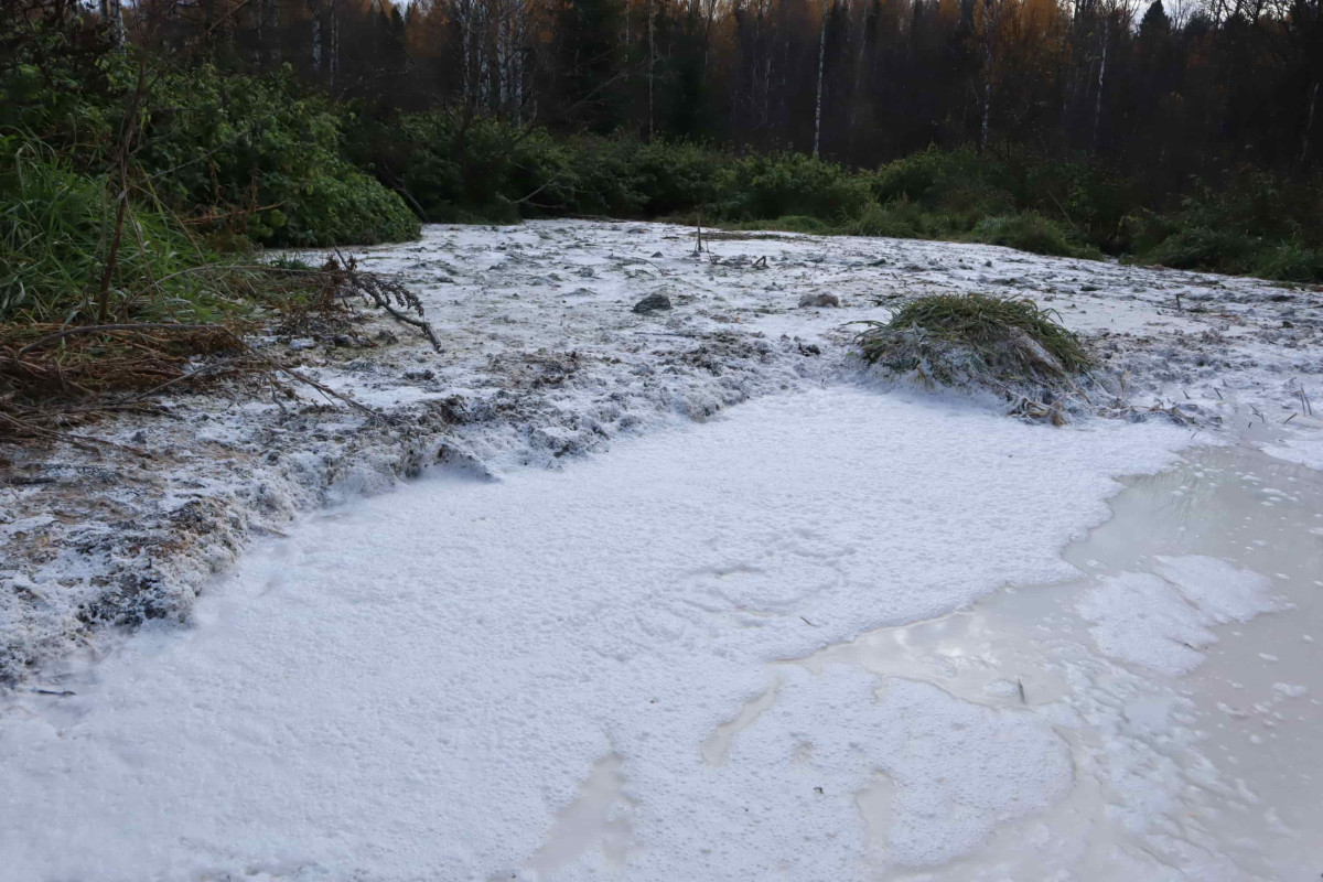 Соколов взял на личный контроль ситуацию с «кисломолочным болотом» в Макарье