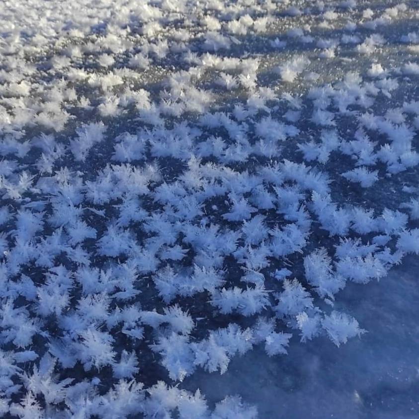 Ледяные цветы на реке большой Черемшан в Ульяновской области