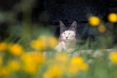 5814343.jpg?dbc78b5cf60170fa32e3089ce81f1565