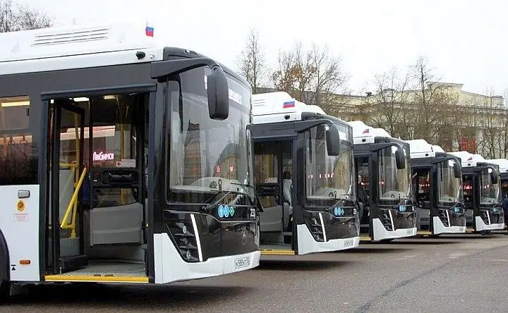 Автобусы. Фото пресс-службы правительства Ростовской области