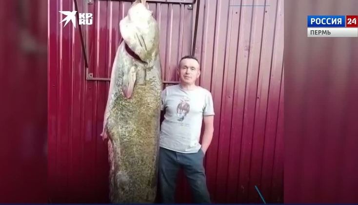 5 100 что это проект