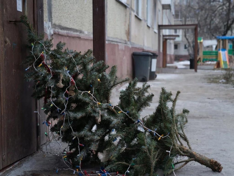 Жители Омска могут узнать, куда сдать новогоднюю елку на переработку, на карте «Авито»
