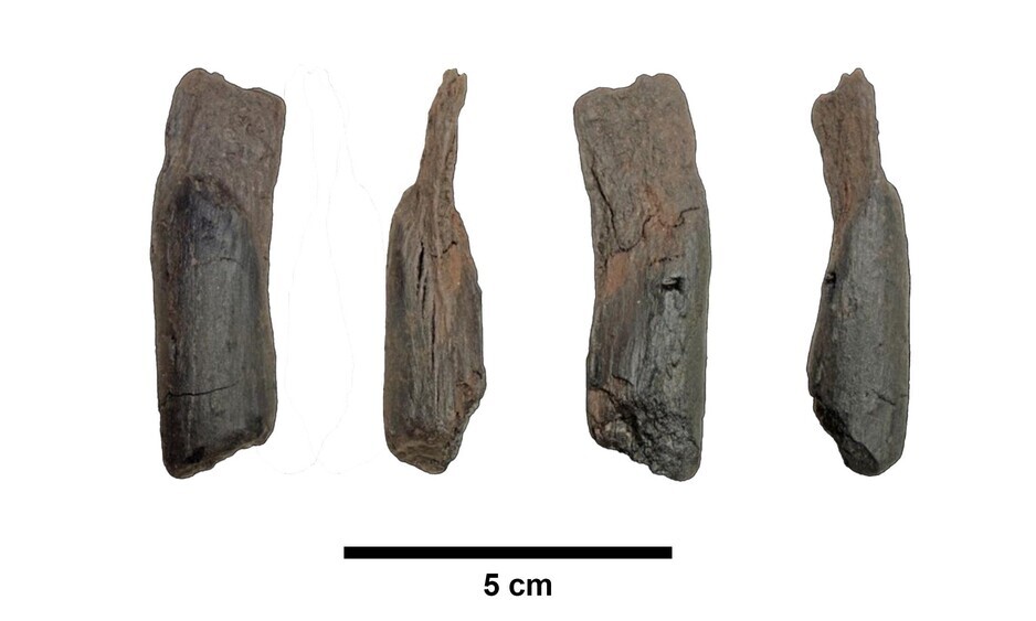 Орудие возрастом 430 тысяч лет