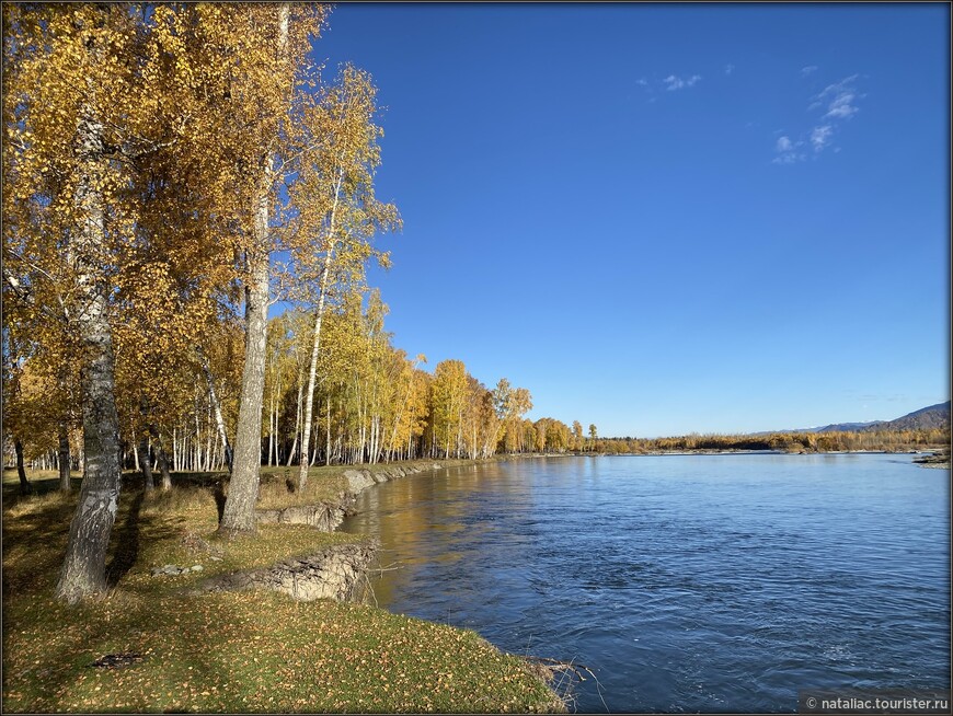 «Осенние краски Уймонской долины». Прощальный день: на гору Маяк с закрытыми глазами, посиделки на берегу Катуни и у костра в ночи 