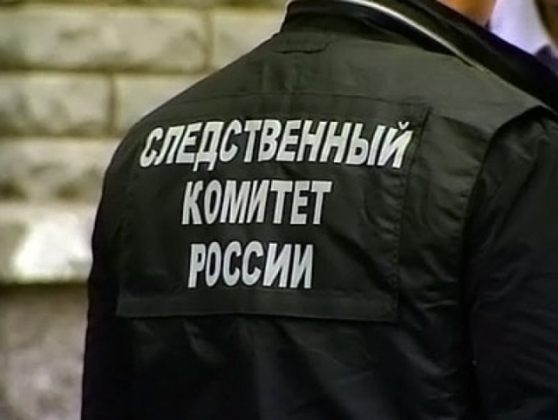 Бастрыкин поручил выяснить детали применения украинских БПЛА в России