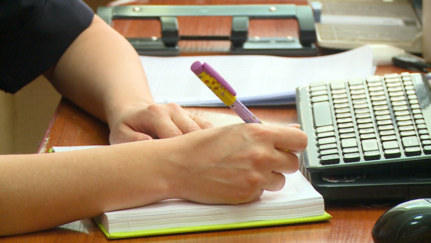 Начинающие и опытные бизнесмены области поделились своим опытом с амурчанами - gtrkamur.ru