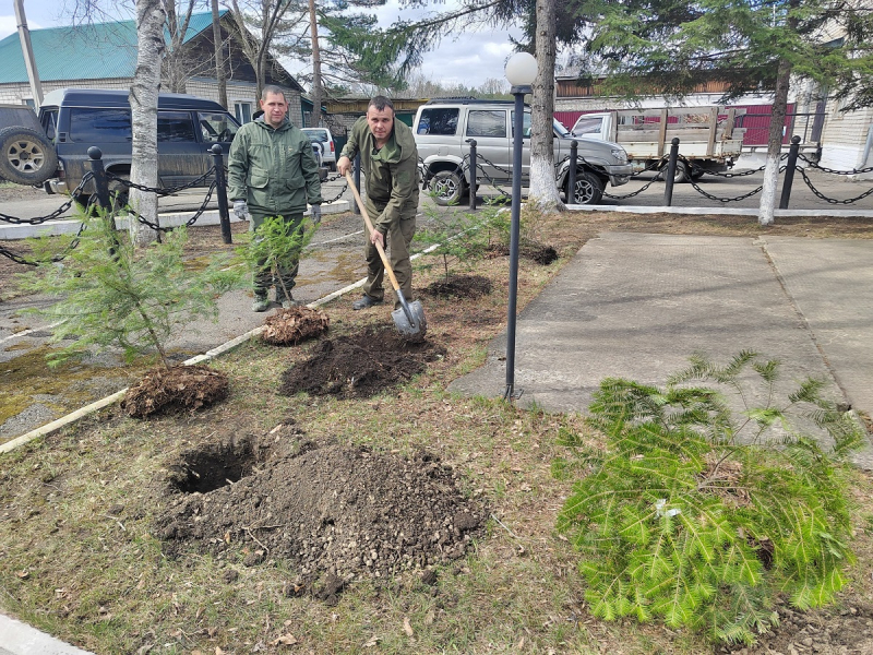 JPG Файл