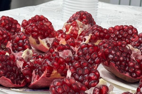 В Узбекистане проходит I Ферганский форум мира. - Sputnik Узбекистан