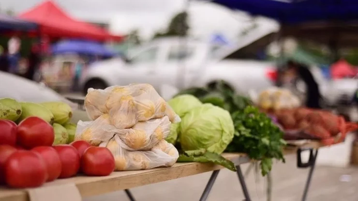В Краснодаре на ярмарки выходного дня фермеры привезли более 90 тонн продуктов
