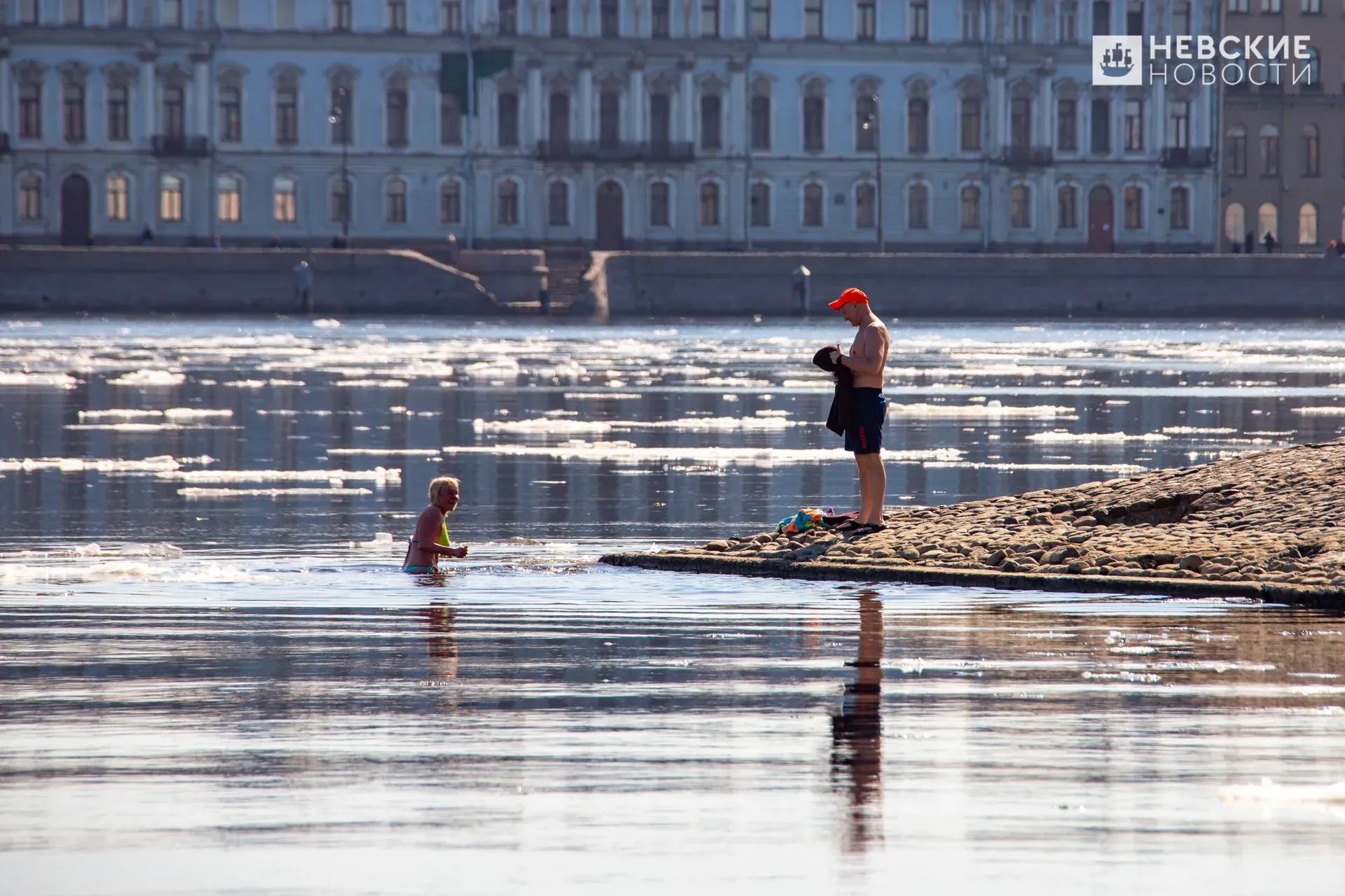 моржи у петропавловской крепости