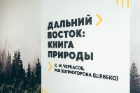 Новая выставка, Фото: 3