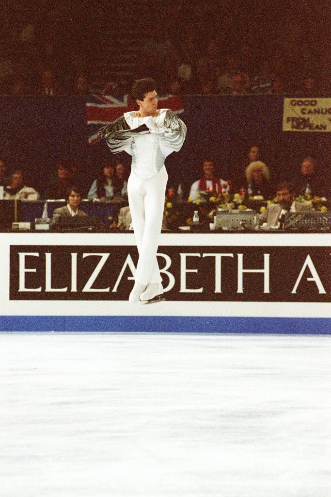 8072485.jpg