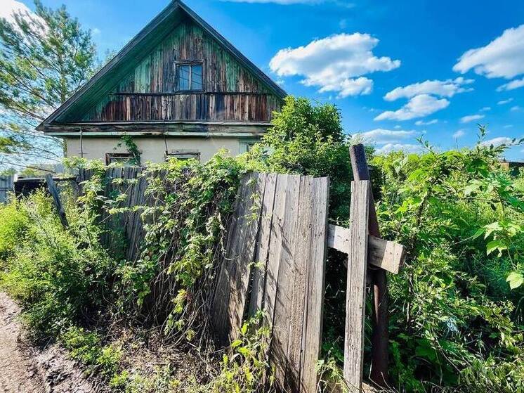 Как мошенники используют ажиотаж вокруг самых длинных новогодних каникул