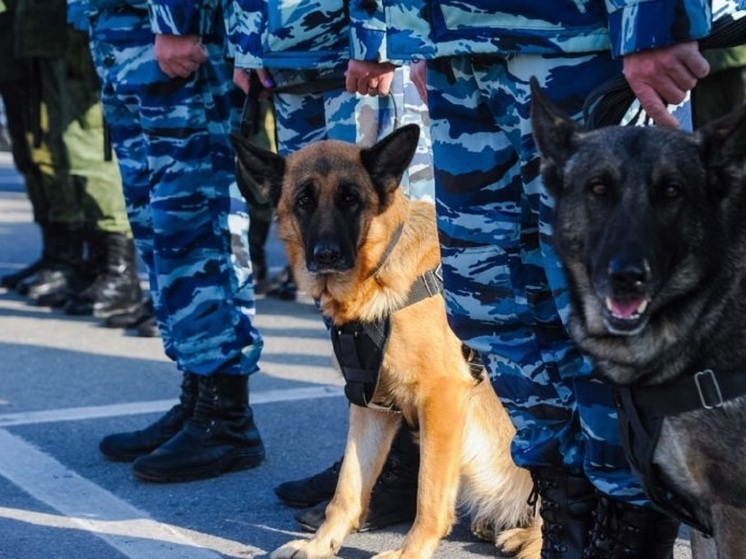 В Волгограде 2 года ищут пропавшего без вести пожилого мужчину