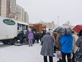 «Фермерский островок» в Череповце