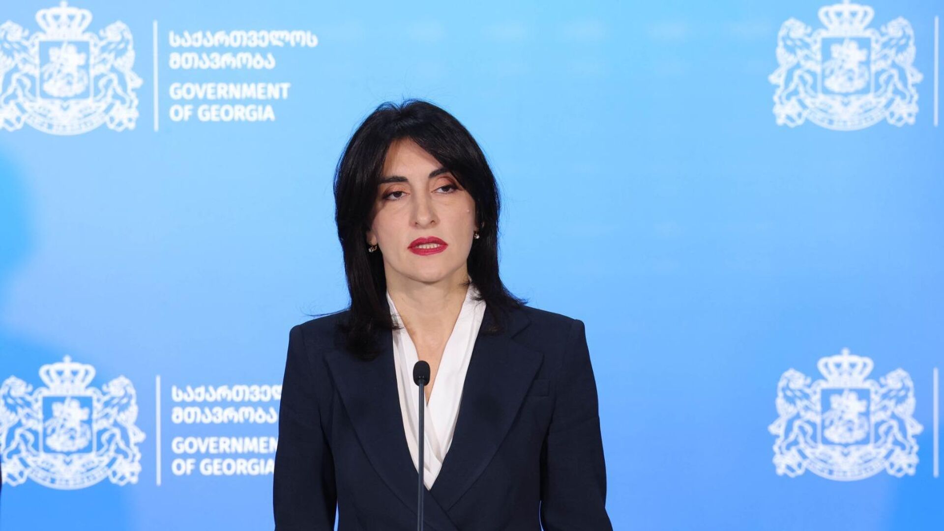 Министр иностранных дел Грузии Мака Бочоришвили - Sputnik Грузия, 1920, 06.11.2025