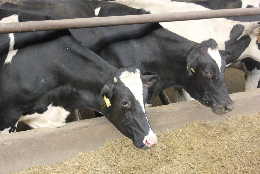 Приметы на 27 марта: почему нельзя в этот день говорить с начальством