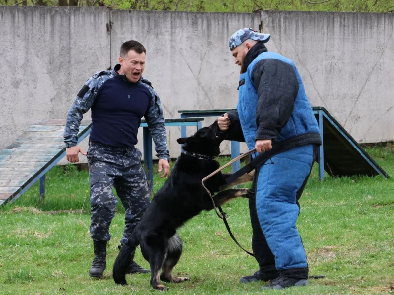 JPG Файл