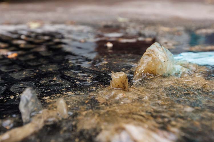 Нечистоты стали выходить наружу— канализационные трубы не справлялись