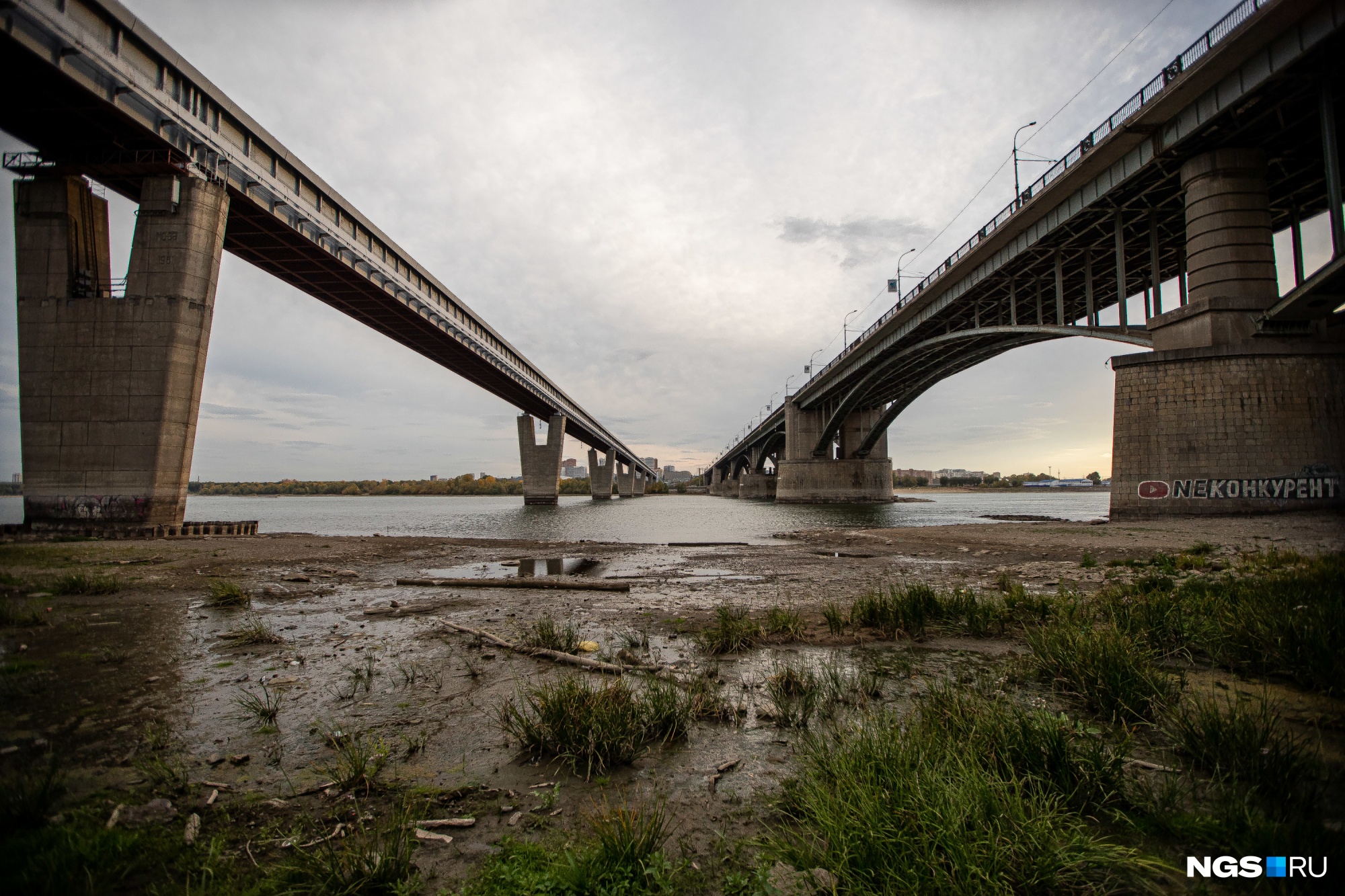 Обь жил. Река Обь Новосибирск. Река Обь сейчас в Новосибирске. Новосибирск мост река. Сылва река обмелела 2023.