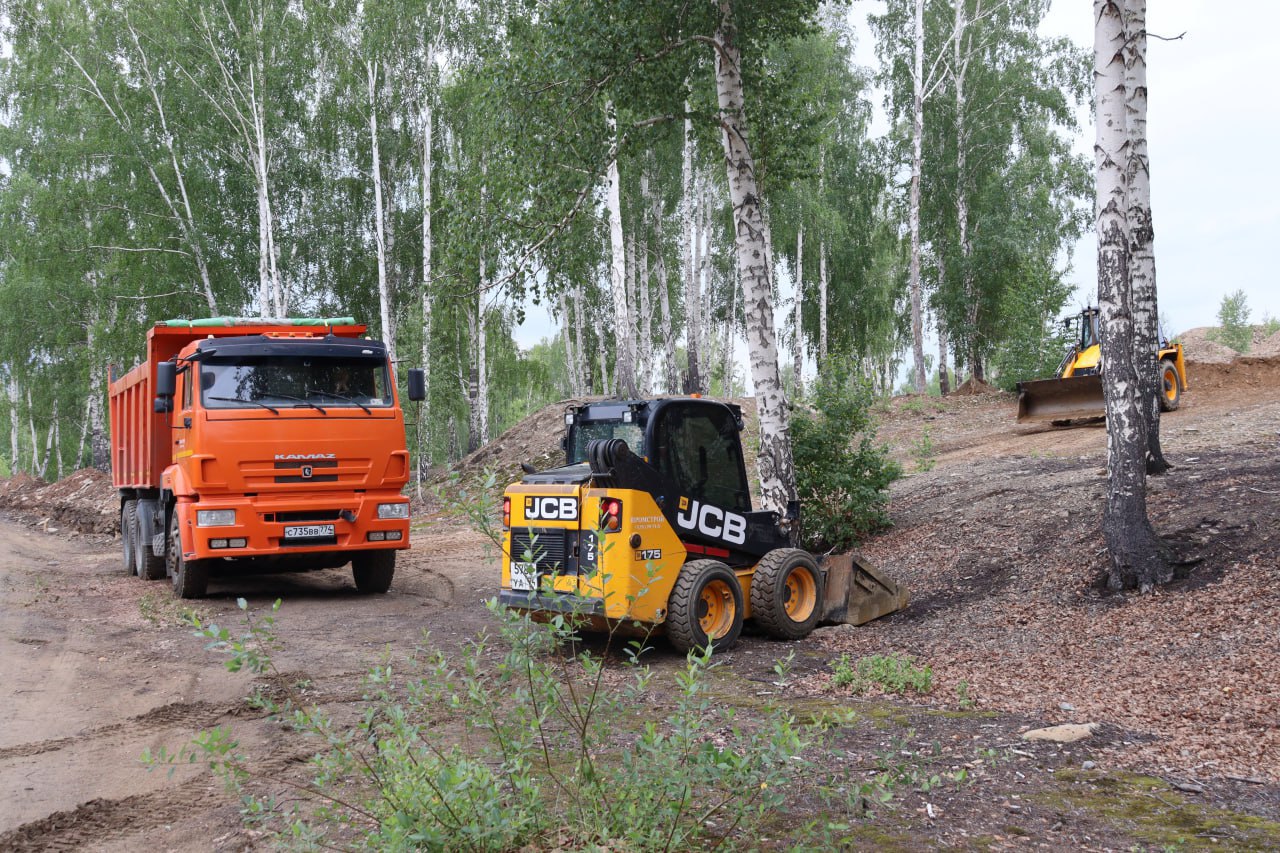 Из зарослей березняка дорога выводит