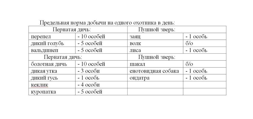 Сроки охоты в бурятии 2024