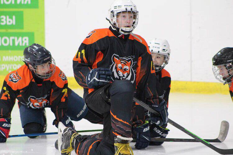 Хоккейная команда Тигры