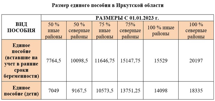 Единое пособие в 2025 году изменения таблица Семьи начнут получать единое пособие на детей в Иркутской области на этой неделе