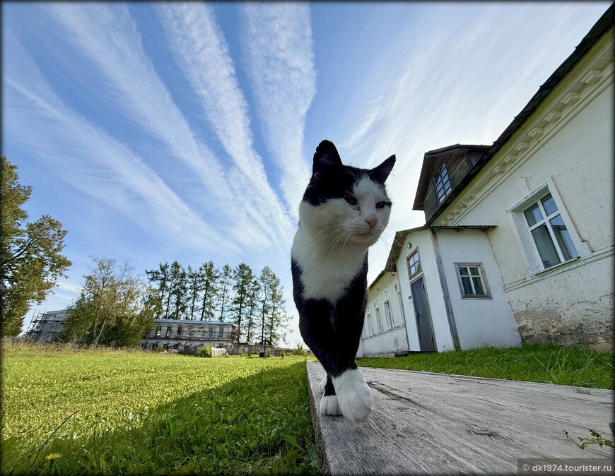 Очарование «Русского Севера» 2 — день четвёртый: Каргополь и окрестности 